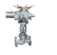 Electric Globe Valve